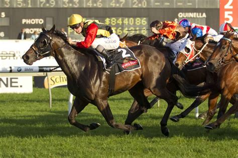 nz horse racing results|Horse Racing Results .